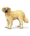 16456 Golden Retriever -M- 88116