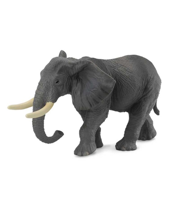 16458 Elefante Africano -XL- 88025