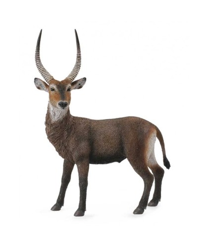 16461 Antilope Acuatico -L- 88562