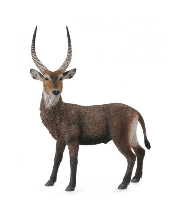 16461 Antilope Acuatico -L- 88562