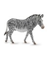 16464 Cebra de Grevy - XL - 88773