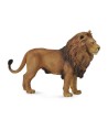 16465 Leon Africano - L - 88782
