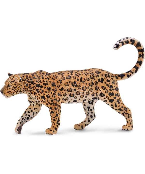 16469 Leopardo Africano - XL - 88866