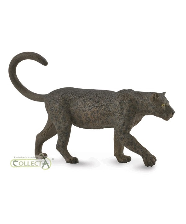 16470 Leopardo Negro - L - 88890