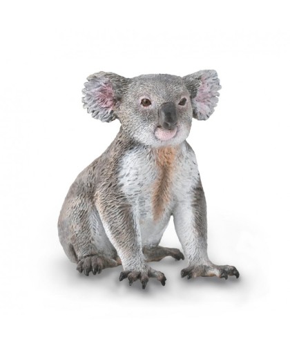 16475 Koala- M - 88940