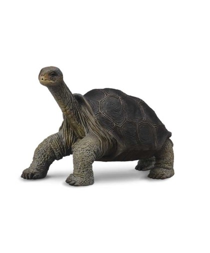 16477 Tortuga Gigante de Pinta -M- 88619