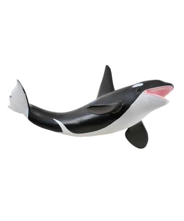 16478 Orca -XL- 88043