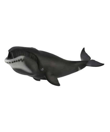 16480 Ballena de Groenlandia -XL- 88652