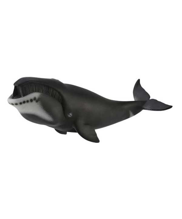 16480 Ballena de Groenlandia -XL- 88652
