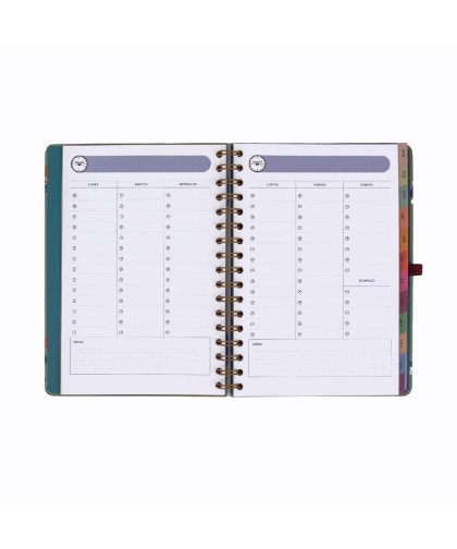16539 Agenda Wonder 2027 Semanal -Entre rutinas y tareas