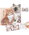 2731 TOPModel Kitty libro para colorear