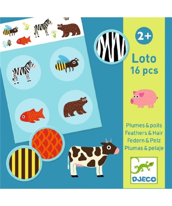 2895 Bingo Plumas  Pelaje