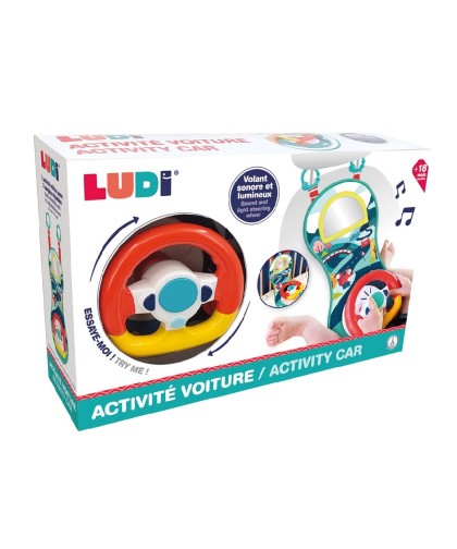 5033 Volante actividad