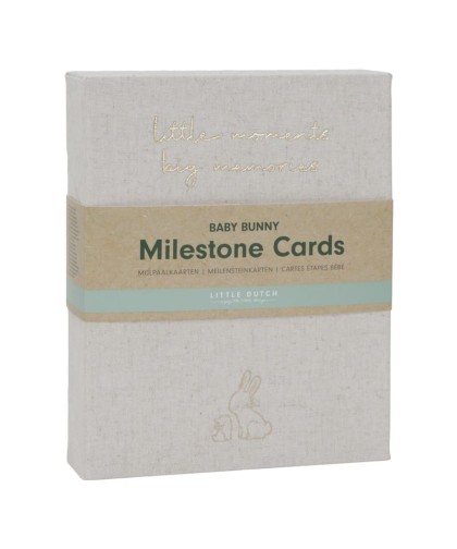 7180 Tarjetas Milestone Baby Bunny