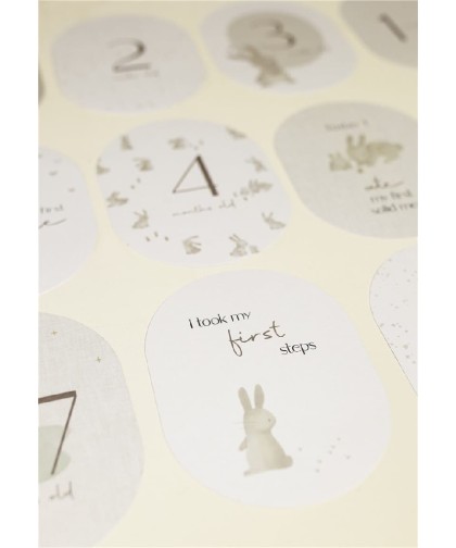 7184 Tarjetas Milestone Baby Bunny