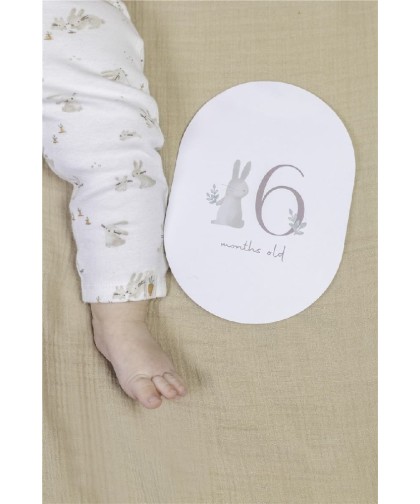 7185 Tarjetas Milestone Baby Bunny