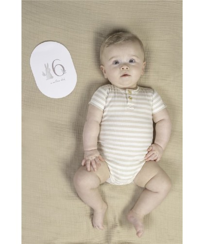 7186 Tarjetas Milestone Baby Bunny