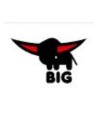BIG