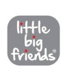 Little Big Friends